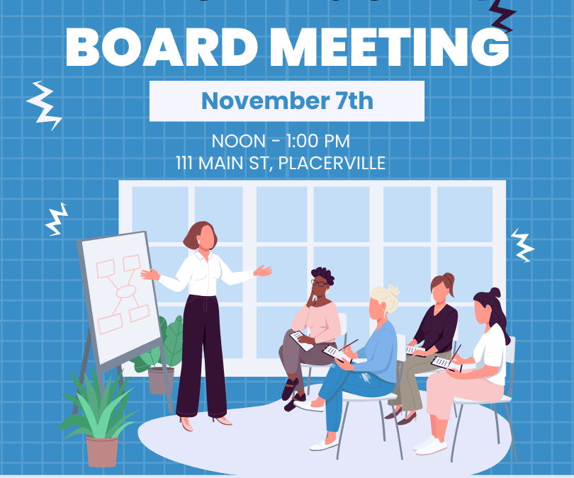 Monthly Board Meeting (11/7/2024 Noon – 1 PM)